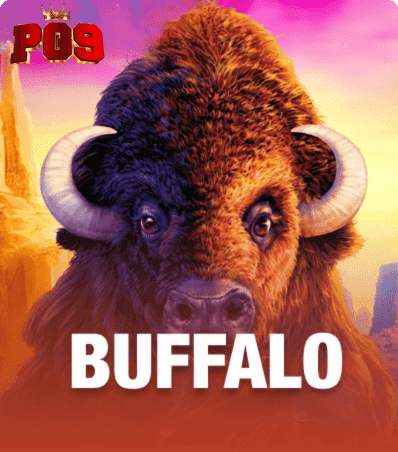 Buffalo